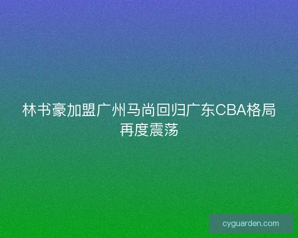 林书豪加盟广州马尚回归广东CBA格局再度震荡