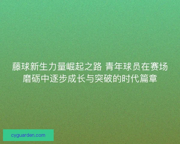 藤球新生力量崛起之路 青年球员在赛场磨砺中逐步成长与突破的时代篇章
